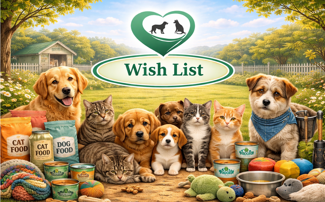 Wish List