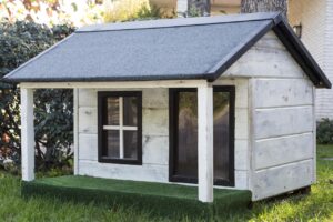 house for dogs, kennels for pets, dog houses