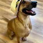 benson