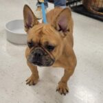 eloise