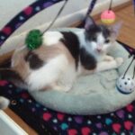 fiona