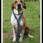 gunner