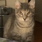 murphy