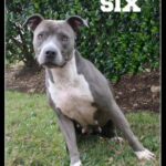 six
