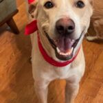zeke